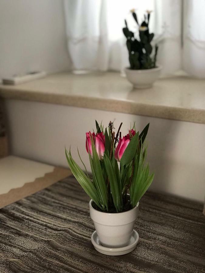 Apartment Center Roko Сплит Экстерьер фото